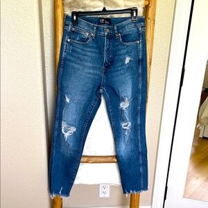 GAP Denim High Rise Vintage Slim, Women’s Size 8/29, Distressed Jeans